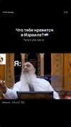 daria.lesin Altpins Profile Picture