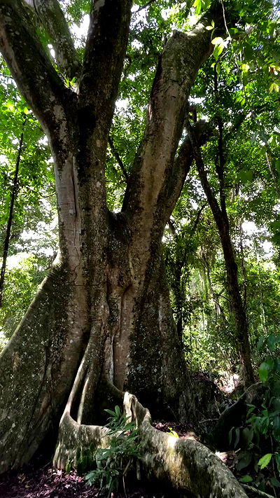 eusandyyh eusandyyh archive video