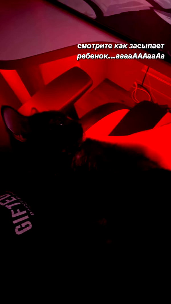 murl1kalka archive video preview