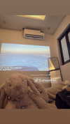 wdmp00_ Altpins Profile Picture