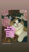 mika_doesnt_exist Altpins Profile Picture