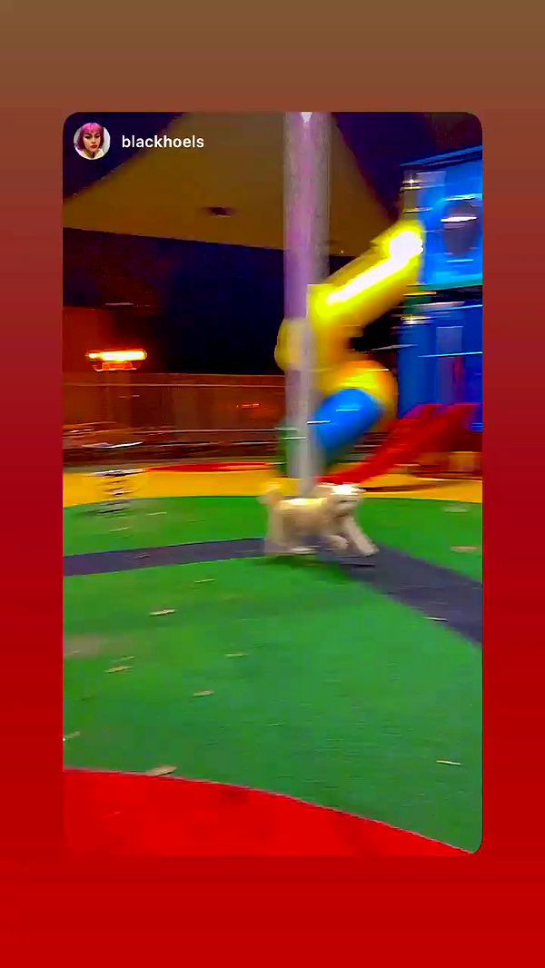 feelbetterinmysweater archive video preview