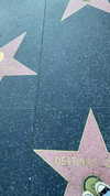 romy.benshushan Altpins Profile Picture