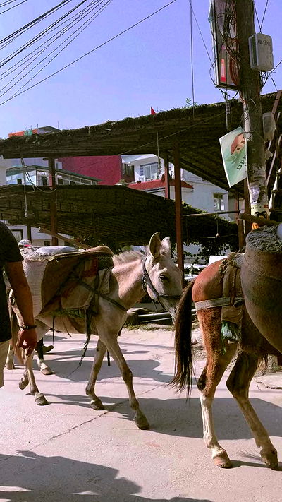 ronyida_ ronyida_ archive video