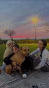 gayaedry_ Altpins Profile Picture
