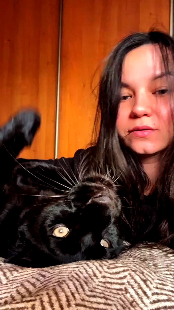 luna_the_pantera archive video preview