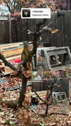 astarwbry_ Altpins Profile Picture
