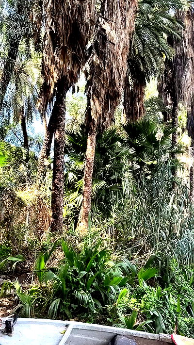 liad.arazi liad.arazi archive video