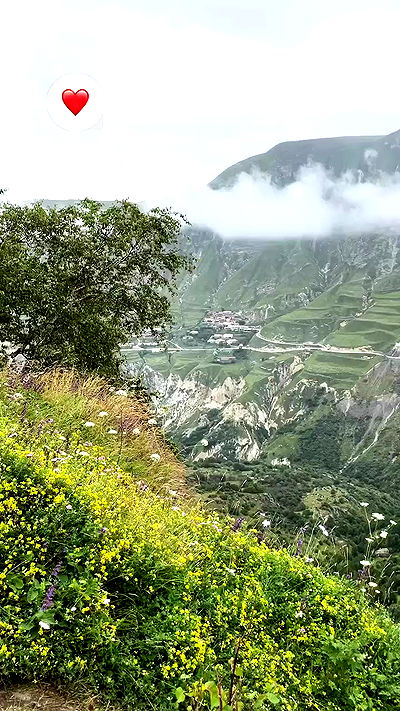 ninja.vi ninja.vi archive video