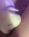 angelixstazzy Altpins Profile Picture