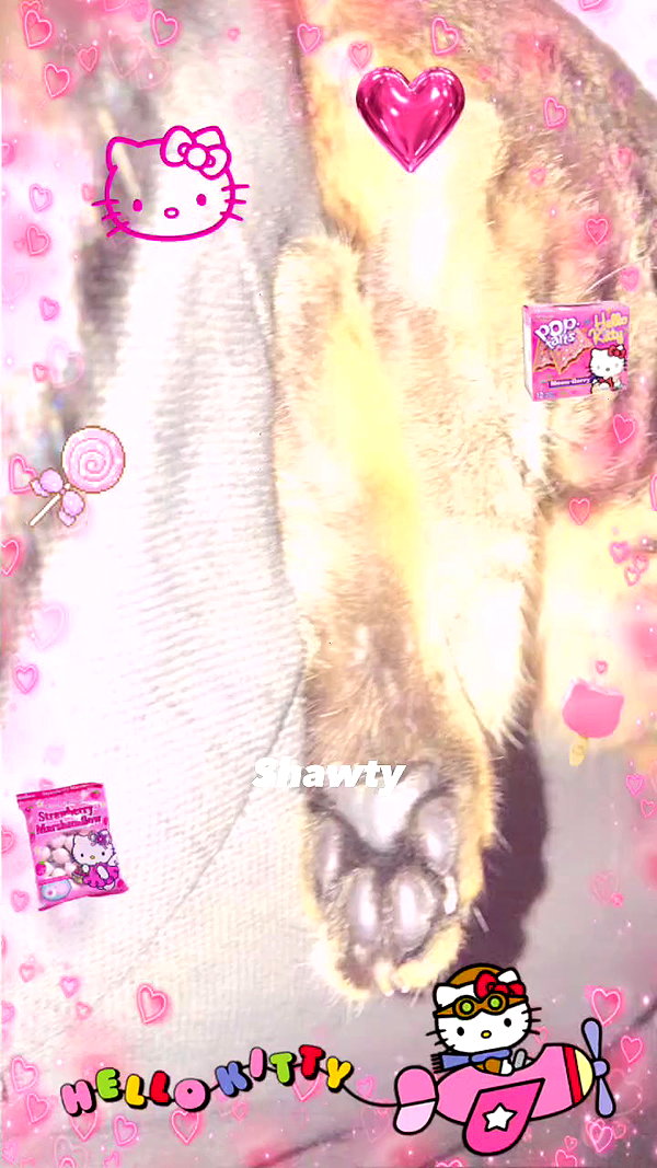 hilaxkitty archive video preview
