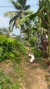 noa_mendel_ Altpins Profile Picture