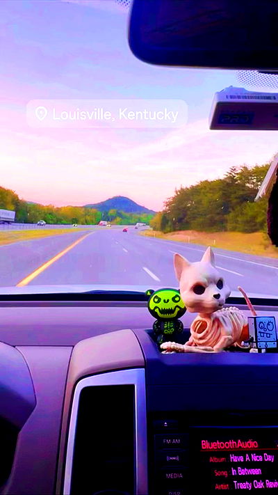 edin.karyn edin.karyn archive video