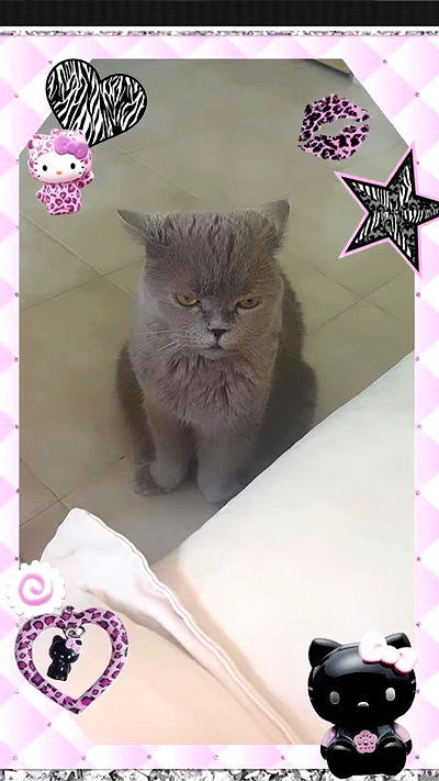 hellokittyangel666 hellokittyangel666 archive video