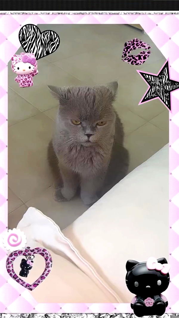 hellokittyangel666 archive video preview