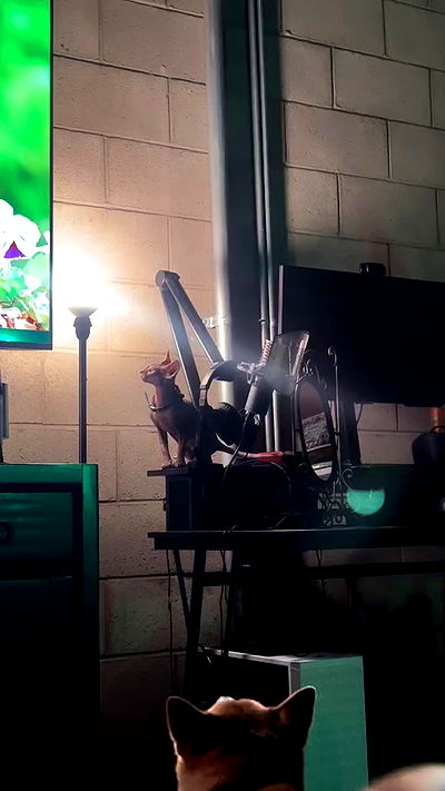 zommmbri zommmbri archive video