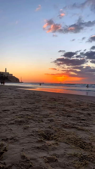 yam_adler yam_adler archive video