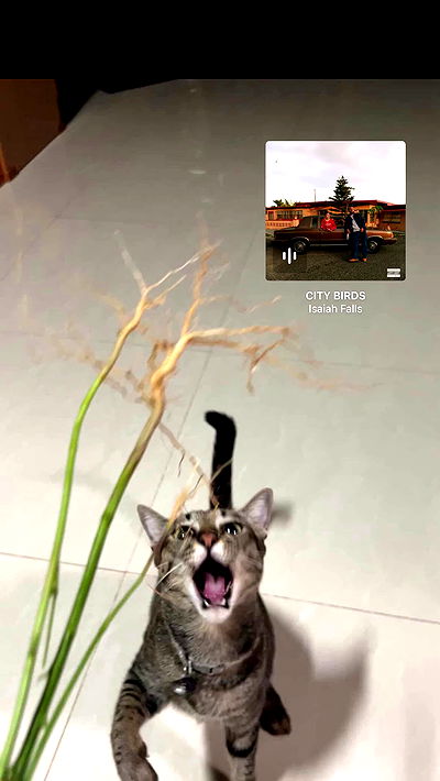 oqr0_ oqr0_ archive video