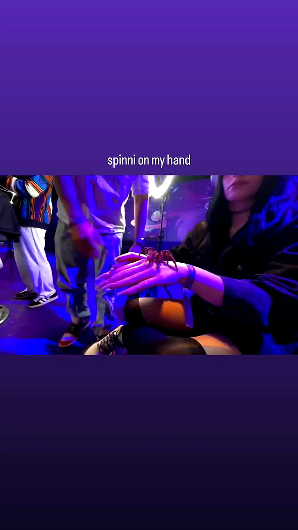 shadowifey archive video preview