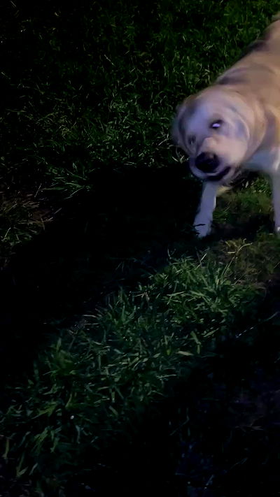 feelbetterinmysweater feelbetterinmysweater archive video