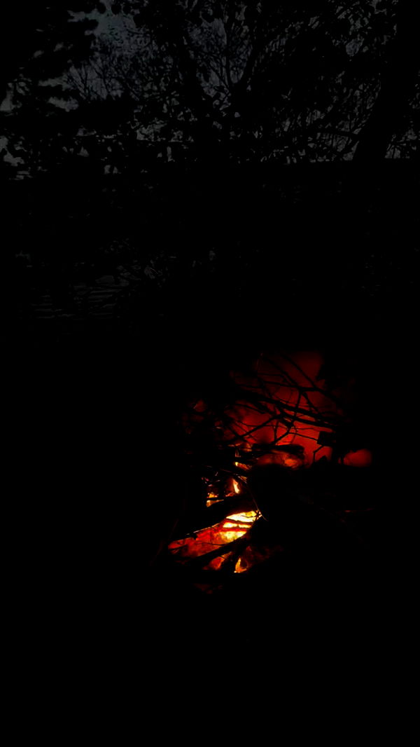 nyityam archive video preview