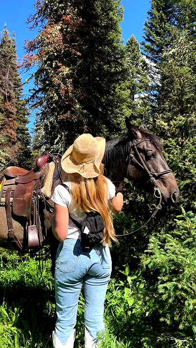 carolinezalog carolinezalog archive video