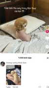 danchiii6403__ Altpins Profile Picture