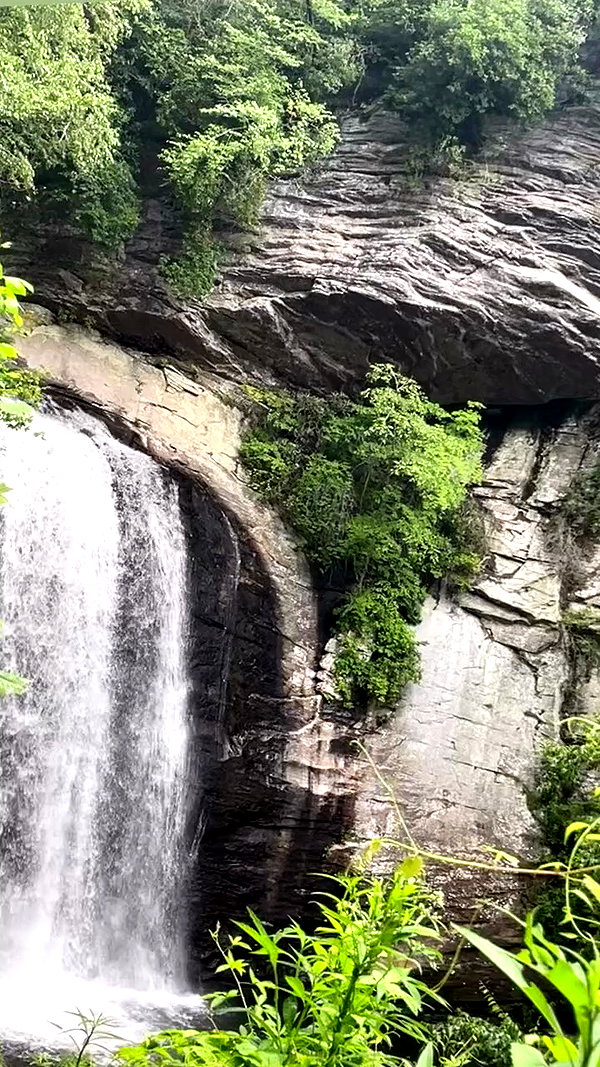 delicatedo11y archive video preview