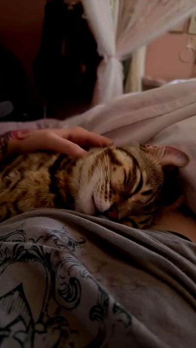 laurinchhhe laurinchhhe archive video