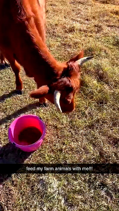 sophieraiin sophieraiin archive video