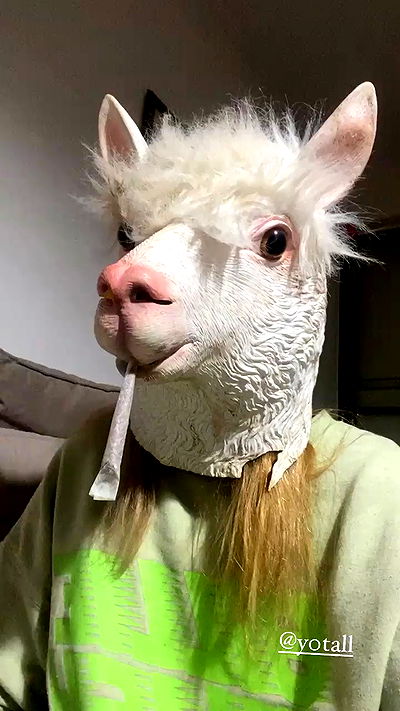 feelbetterinmysweater feelbetterinmysweater archive video