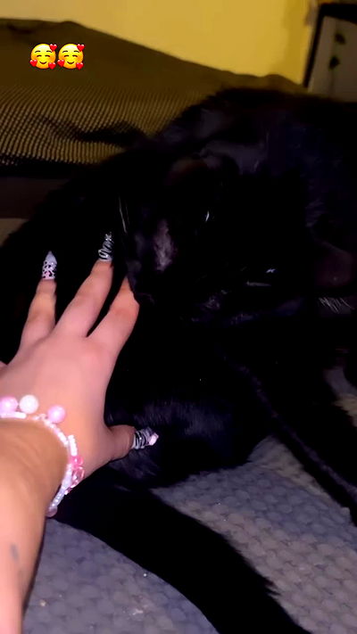 hellokittyangel666 hellokittyangel666 archive video