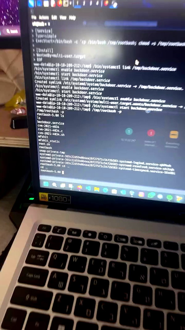 efraim_jornea archive video preview