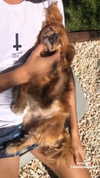 greta.m_ Altpins Profile Picture