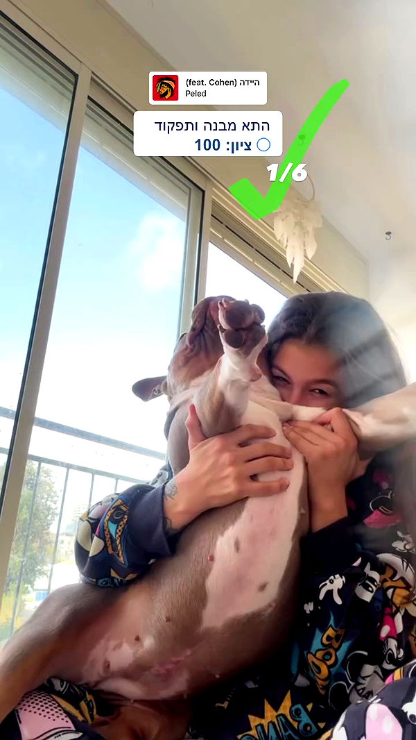 kesemgreenyer archive video preview