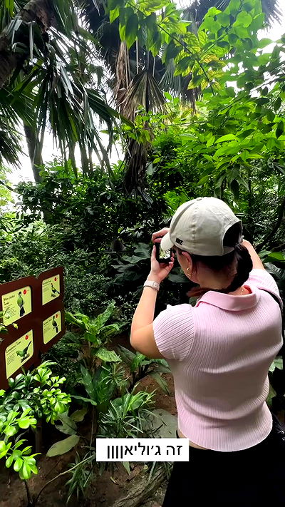 itsilanosh itsilanosh archive video