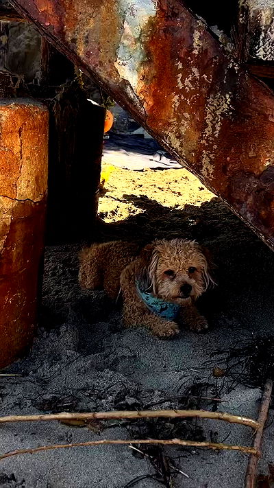 payton.r payton.r archive video