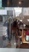 suadaunanh_ne Altpins Profile Picture