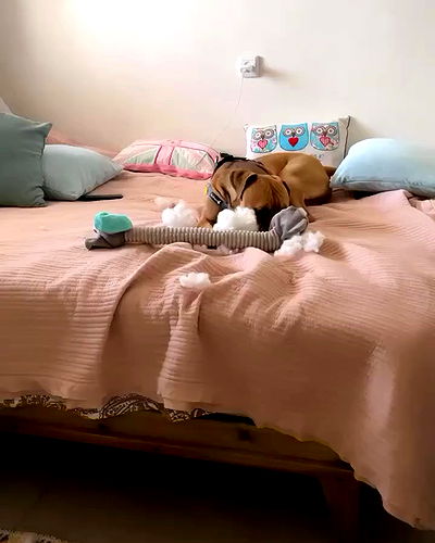 kesemgreenyer kesemgreenyer archive video