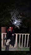 xylia444 Altpins Profile Picture