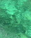 veronika_grish Altpins Profile Picture