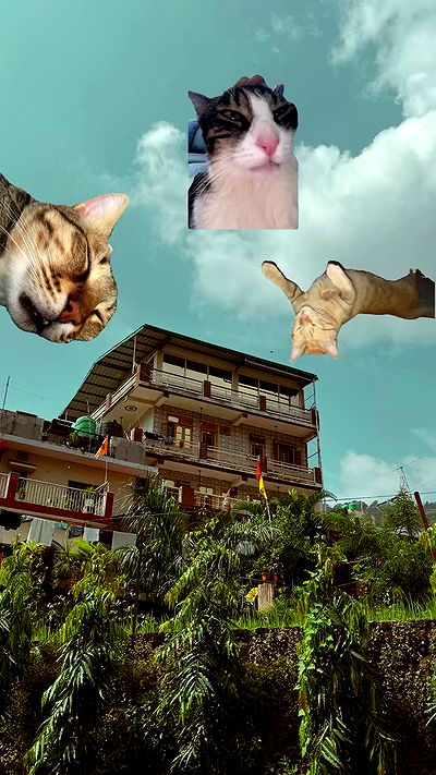 ronyida_ ronyida_ archive video