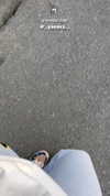 adel__s_ Altpins Profile Picture