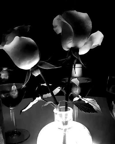 sophiemudd sophiemudd archive video