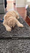 lew12001 Altpins Profile Picture