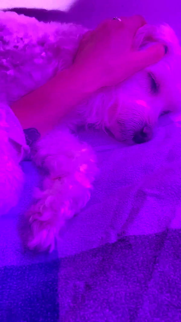 feelbetterinmysweater archive video preview