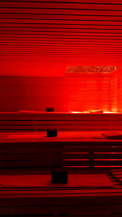 carolinezalog carolinezalog archive video