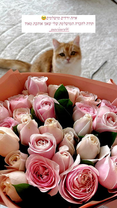 itsilanosh itsilanosh archive video