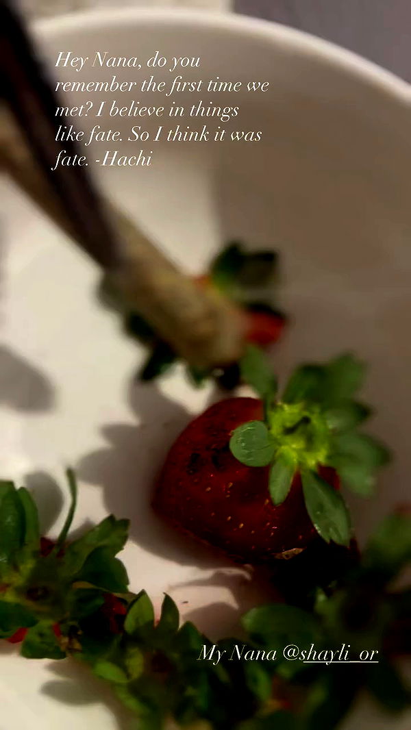 hellokittyangel666 archive video preview