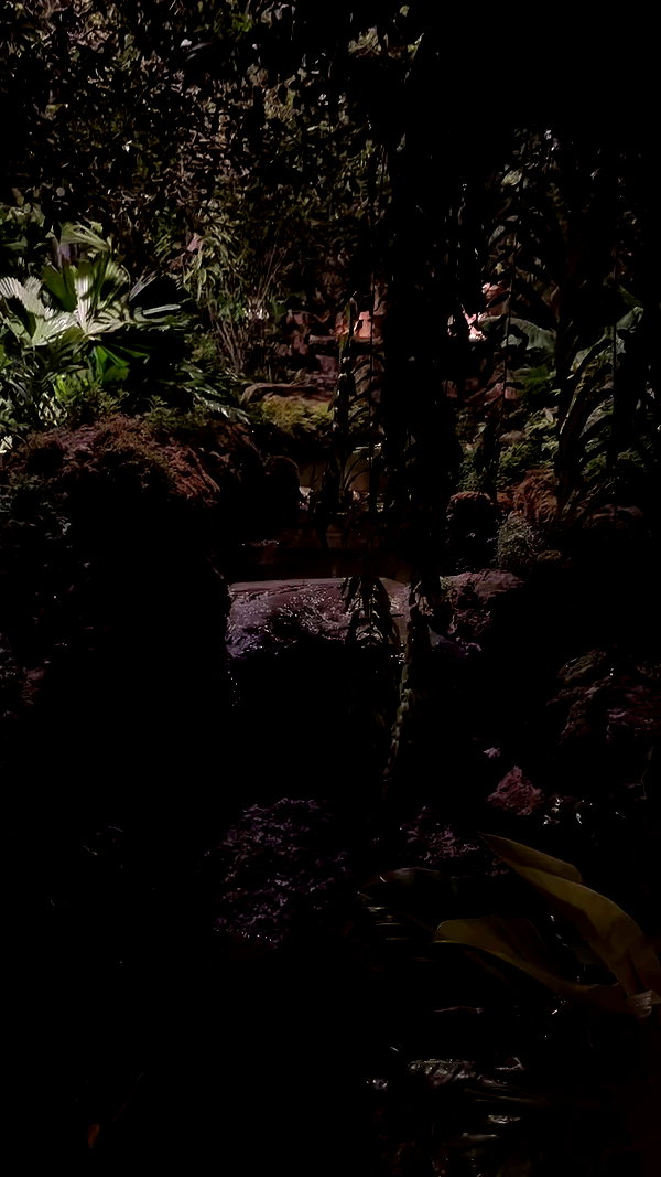 ellie.coldwell archive video preview